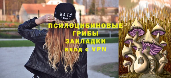 мдпв Пересвет