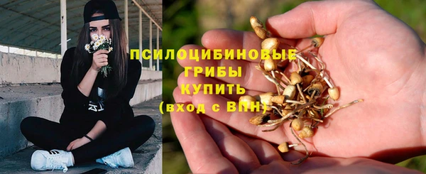 наркотики Алексин
